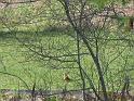 IMG_1173